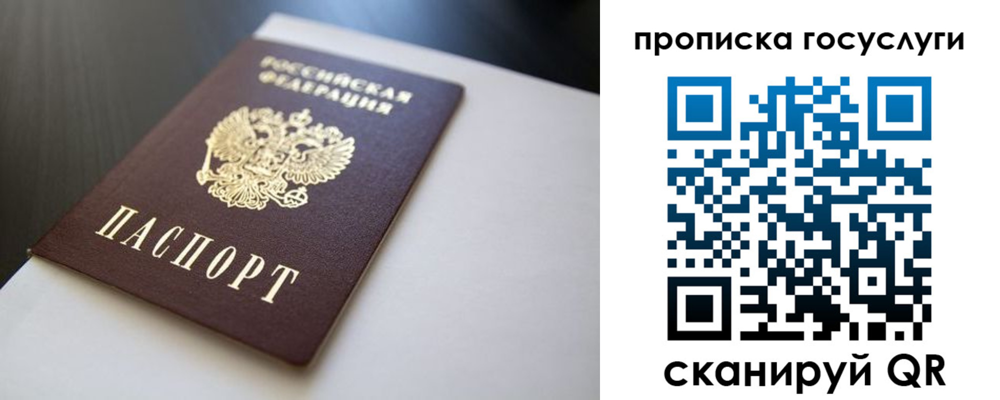 временная регистрация госуслуги в Читинской области